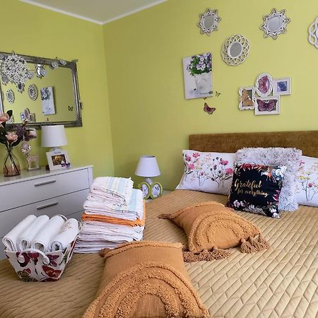 Sweet Butterflies Residence Μπρασόβ Εξωτερικό φωτογραφία