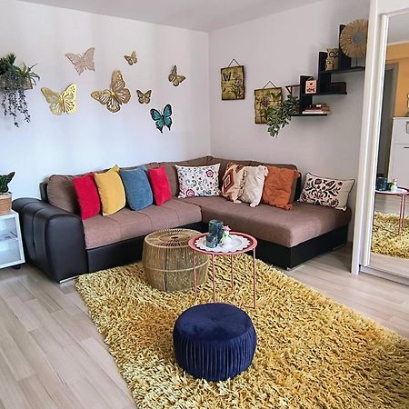 Sweet Butterflies Residence Μπρασόβ Εξωτερικό φωτογραφία
