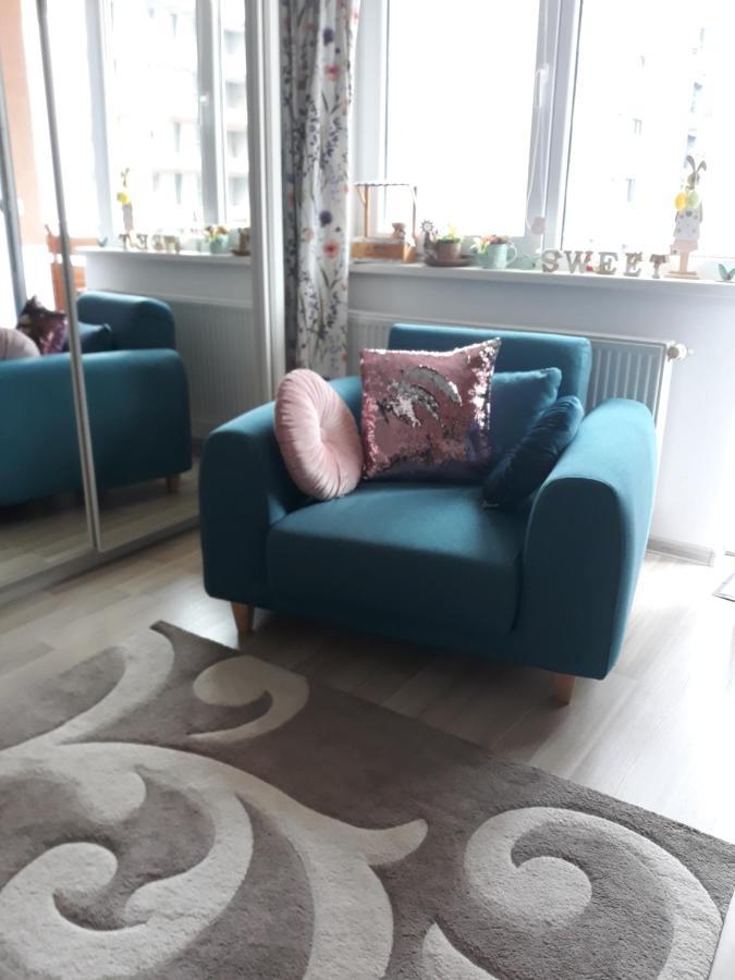 Sweet Butterflies Residence Μπρασόβ Εξωτερικό φωτογραφία