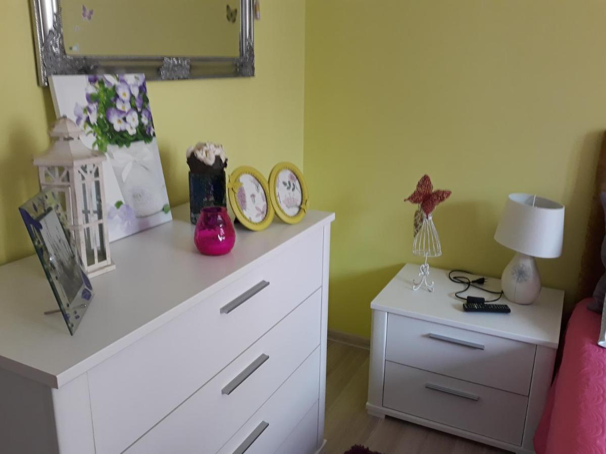 Sweet Butterflies Residence Μπρασόβ Εξωτερικό φωτογραφία