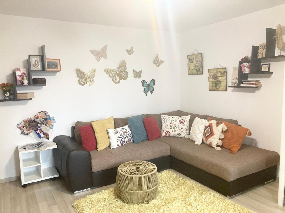 Sweet Butterflies Residence Μπρασόβ Εξωτερικό φωτογραφία