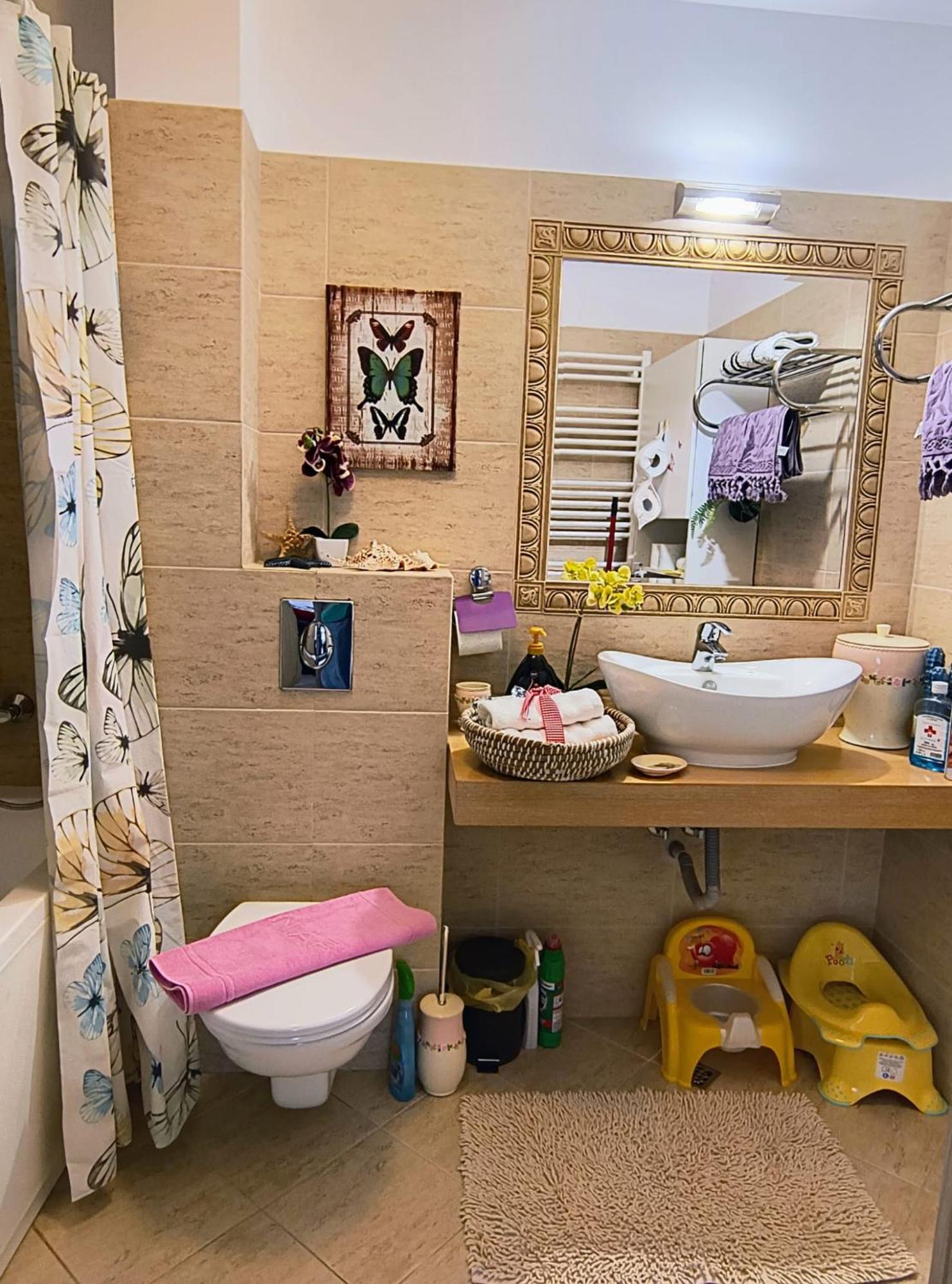 Sweet Butterflies Residence Μπρασόβ Εξωτερικό φωτογραφία