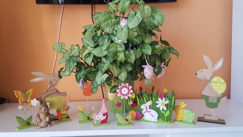 Sweet Butterflies Residence Μπρασόβ Εξωτερικό φωτογραφία