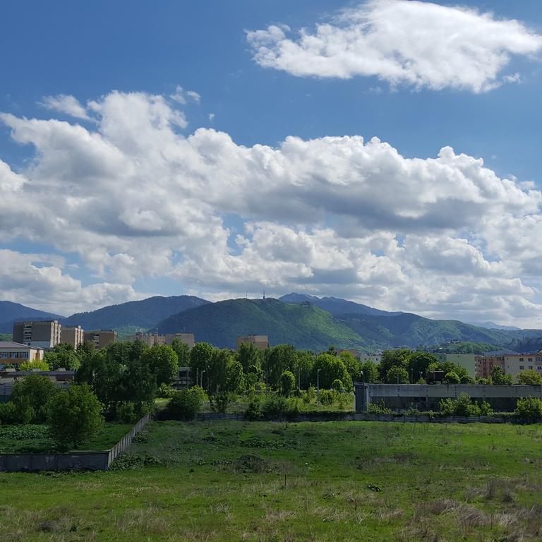 Sweet Butterflies Residence Μπρασόβ Εξωτερικό φωτογραφία