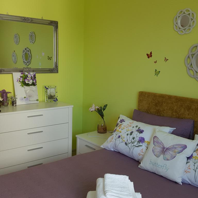Sweet Butterflies Residence Μπρασόβ Εξωτερικό φωτογραφία