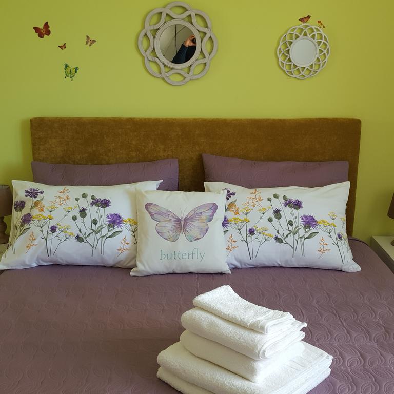 Sweet Butterflies Residence Μπρασόβ Εξωτερικό φωτογραφία