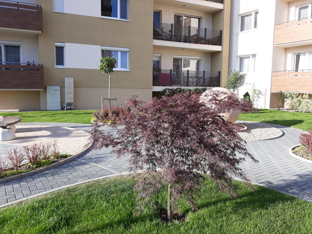 Sweet Butterflies Residence Μπρασόβ Εξωτερικό φωτογραφία