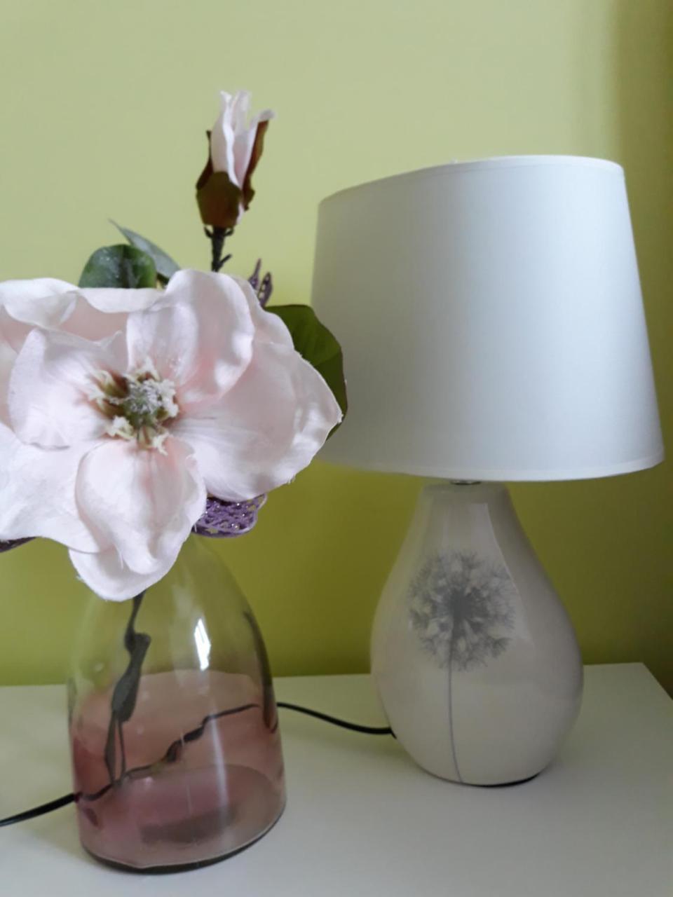 Sweet Butterflies Residence Μπρασόβ Εξωτερικό φωτογραφία