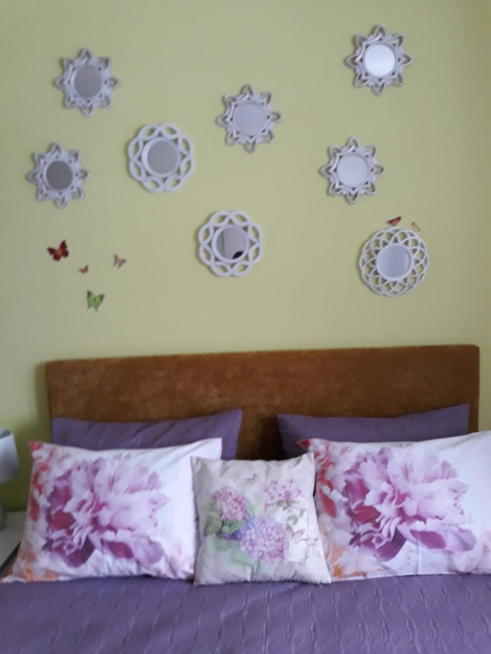 Sweet Butterflies Residence Μπρασόβ Εξωτερικό φωτογραφία